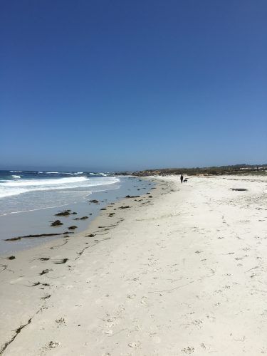 Mit dem Wohnmobil über den California Highway 1 nach Süden. Mehr erfährst du unter www.wiraufreise.de