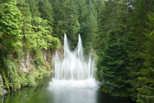 Wohnmobil Rundreise über Vancouver Island mit Kleinkind. Mehr Informationen unter www.wiraufreise.de