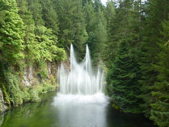 Wohnmobil Rundreise über Vancouver Island mit Kleinkind. Mehr Informationen unter www.wiraufreise.de