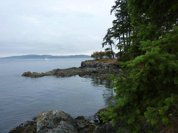 Wohnmobil Rundreise über Vancouver Island mit Kleinkind. Mehr Informationen unter www.wiraufreise.de