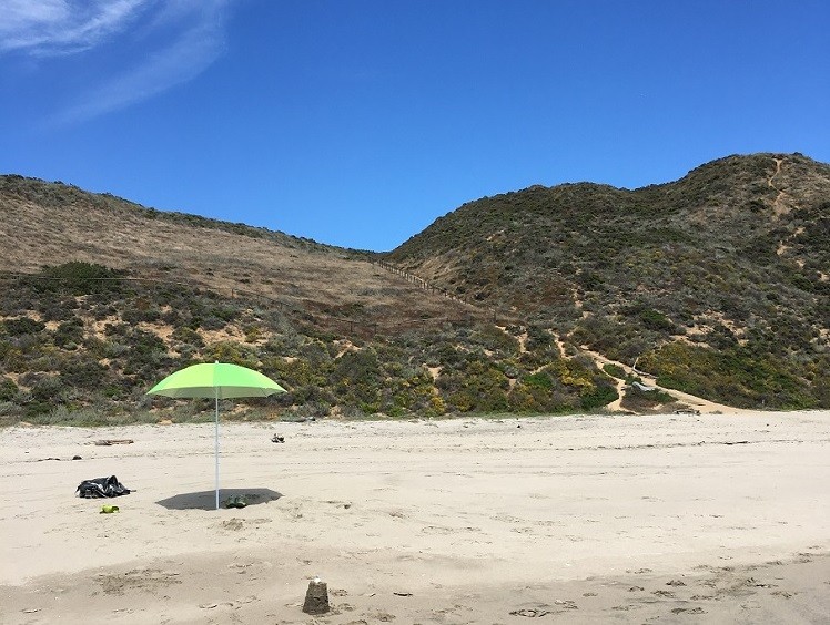Mit dem Wohnmobil über den California Highway 1 nach Süden. Mehr erfährst du unter www.wiraufreise.de