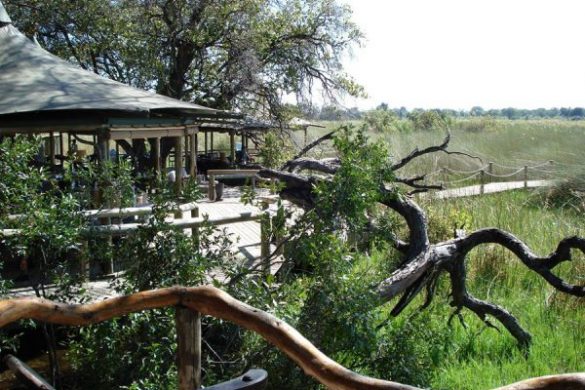 Aufregende Safaris im Little Vumbura Camp im Okavango Delta. Mehr Informationen unter www.wiraufreise.de