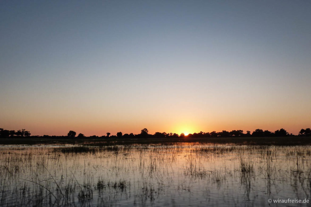 Aufregende Safaris im Little Vumbura Camp im Okavango Delta. Mehr Informationen unter www.wiraufreise.de