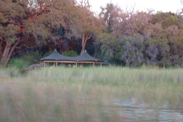 Aufregende Safaris im Little Vumbura Camp im Okavango Delta. Mehr Informationen unter www.wiraufreise.de