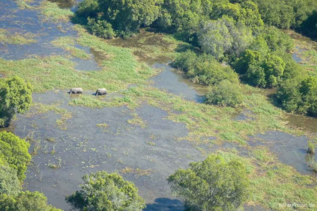 Fly-in-Safari im Okavango Delta in Botswana. Mehr Informationen unter www.wiraufreise.de