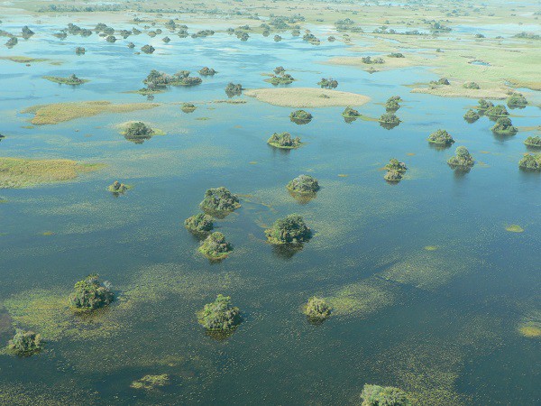 Fly-in-Safari im Okavango Delta in Botswana. Mehr Informationen unter www.wiraufreise.de