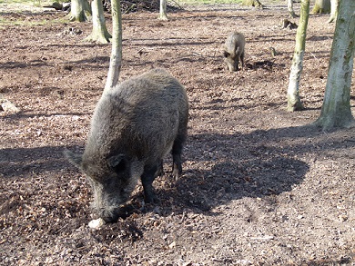 Ostseeurlaub mit Kindern im Herbst und Winter