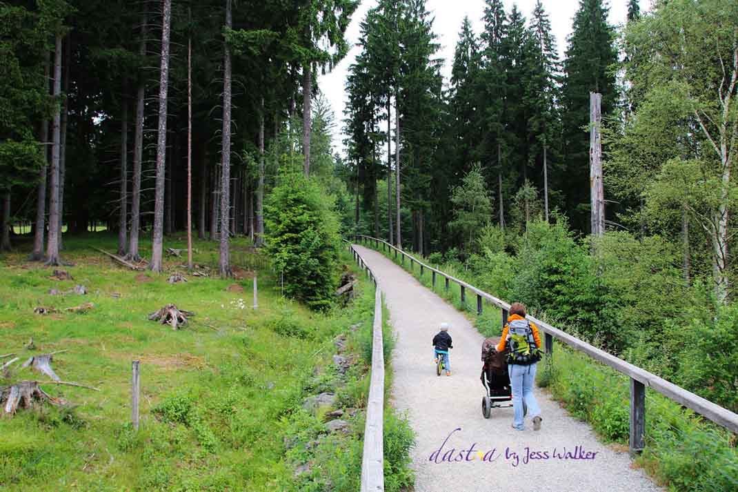 Haus zur Wildnis im Bayerischen Wald. Weitere Informationen unter wiraufreise.de