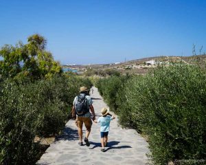 Unsere schönsten Fotos aus dem zweiten Halbjahr 2017. Weiter Informationen zur Fotoparade gibt es unter www.wiraufreise.de