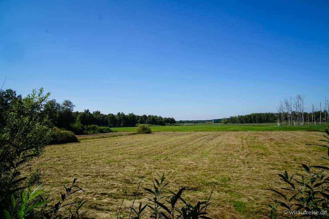 Unsere schönsten Fotos aus dem zweiten Halbjahr 2017. Weiter Informationen zur Fotoparade gibt es unter www.wiraufreise.de