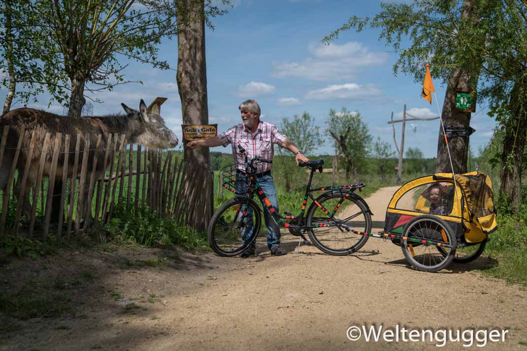 Ausflugstipps mit Kindern im Osten Deutschlands - Roundup Teil 4. Weitere Informationen unter www.wiraufreise.de