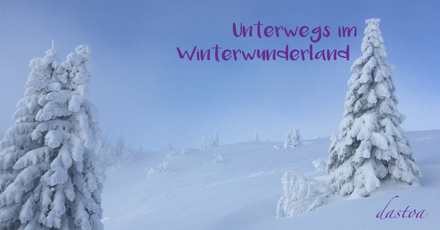 Blogparade - Mein schönster Winterbericht. Mehr Informationen unter www.wiraufreise.de