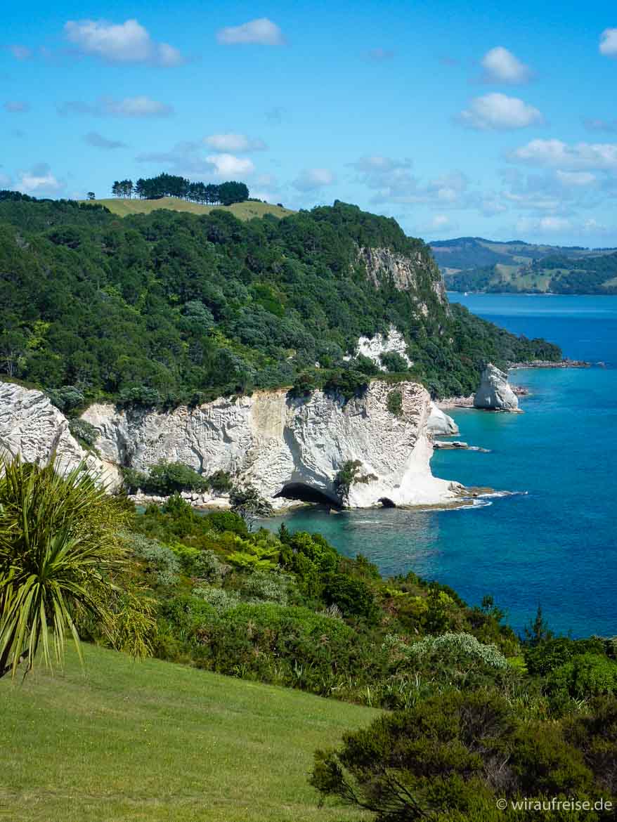 Cathedral Cove an der Mercury Bay auf der Coromandel Halbinsel Ausblick auf die Höhle Neuseeland nordinsel