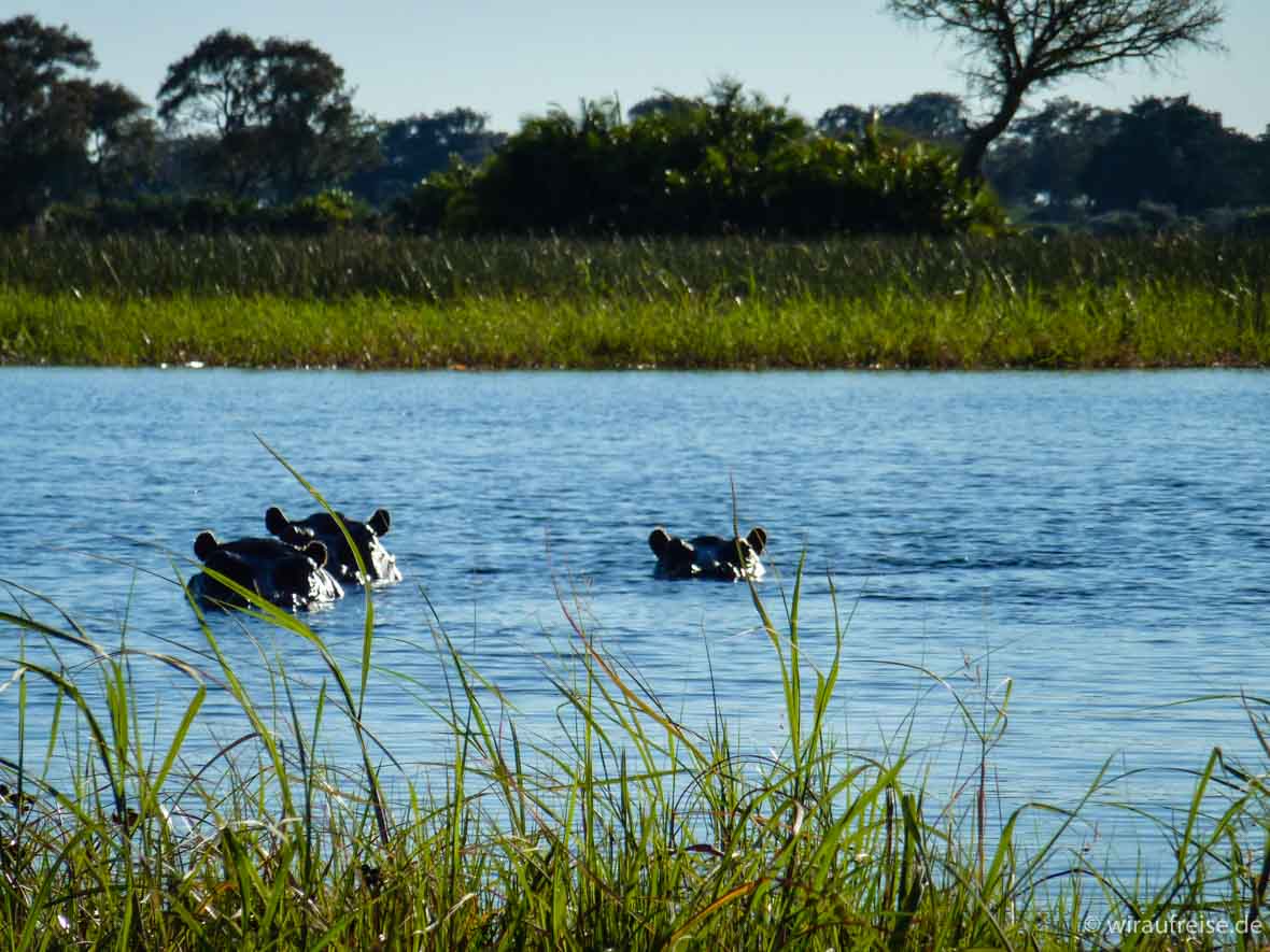 Das Xigera Camp im Moremi Wildlife Reserve. Mehr Informationen unter www.wiraufreise.de