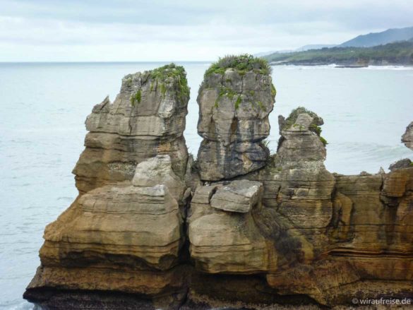 Neuseeland, Punakaiki, Pancake-Rocks