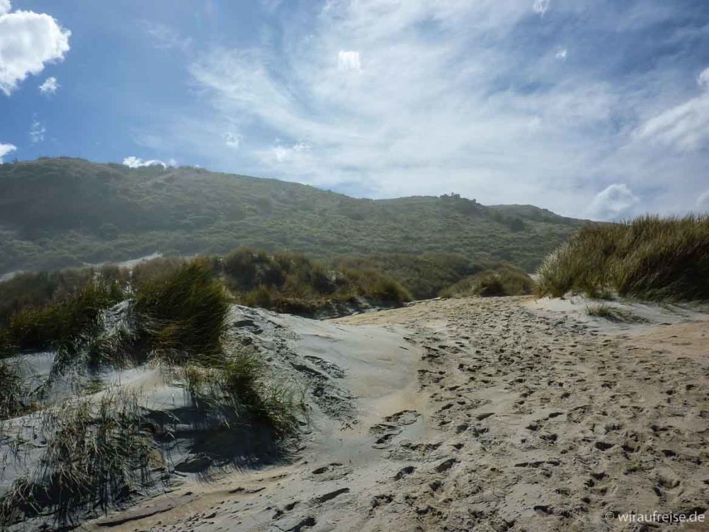 Sandfly Beach Sandfly Bay Otago Peninsula Portobello Neuseeland