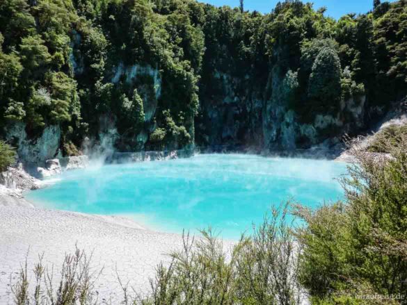 hellblauer und dampfender Säuresee im Vulkanvalley bei Rotorua in Neuseeland