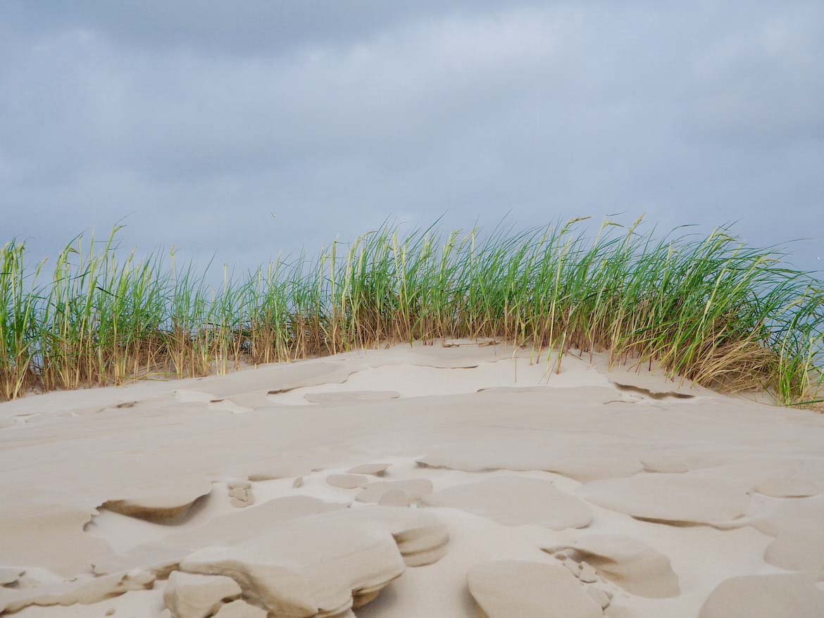 Sanddüne auf Amrum - weitere Informationen unter www.wiraufreise.de