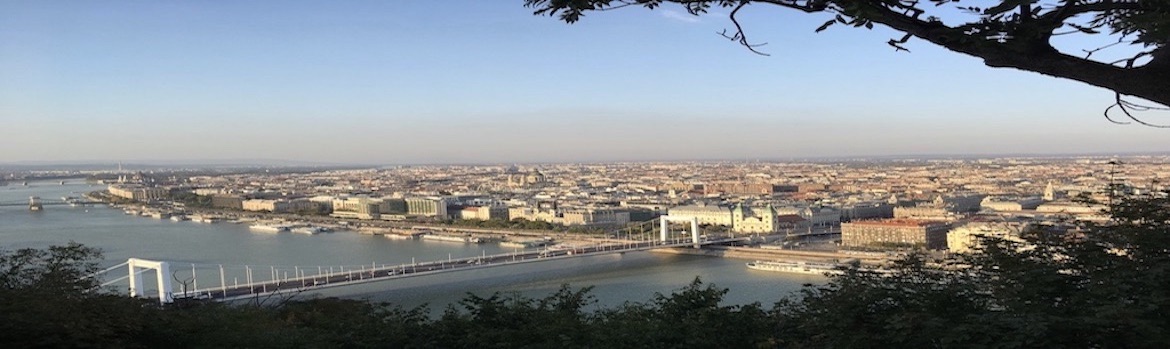 Blick auf Budapest mit der Donau im Vordergrund