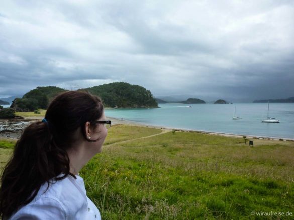 Ausblick auf das Meer mit vielen kleinen Inseln. Gras im Vordergrund. Bay of islands, neuseeland nordinsel