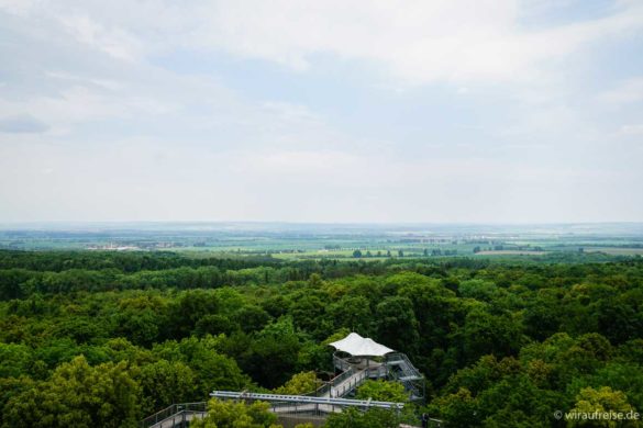 Aussichtsplattform Baumwipfelpfad