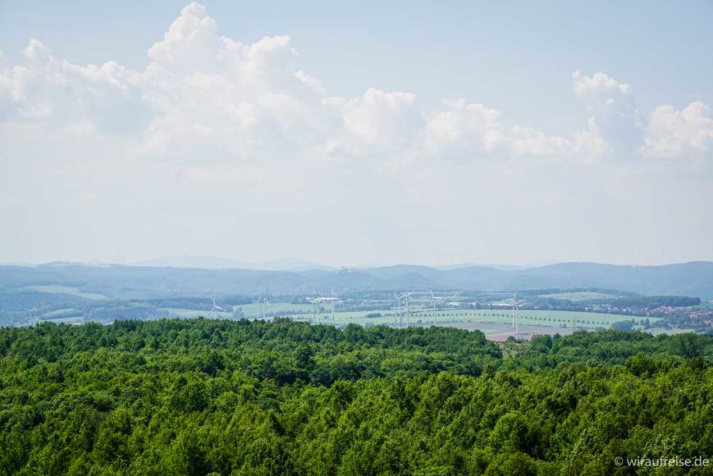 Blick über den Hainich zur Wartburg