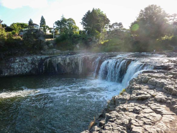 Blick auf die Haruru-Falls, ein im Halbkreis geformter, 5 m hoher Wasserfall- Neuseeland Nordinsel