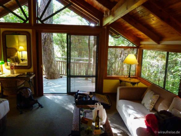 Ein Zimmer im Baum - das Bush-Chalet im Puka Park in pauanui neuseeland nordinsel