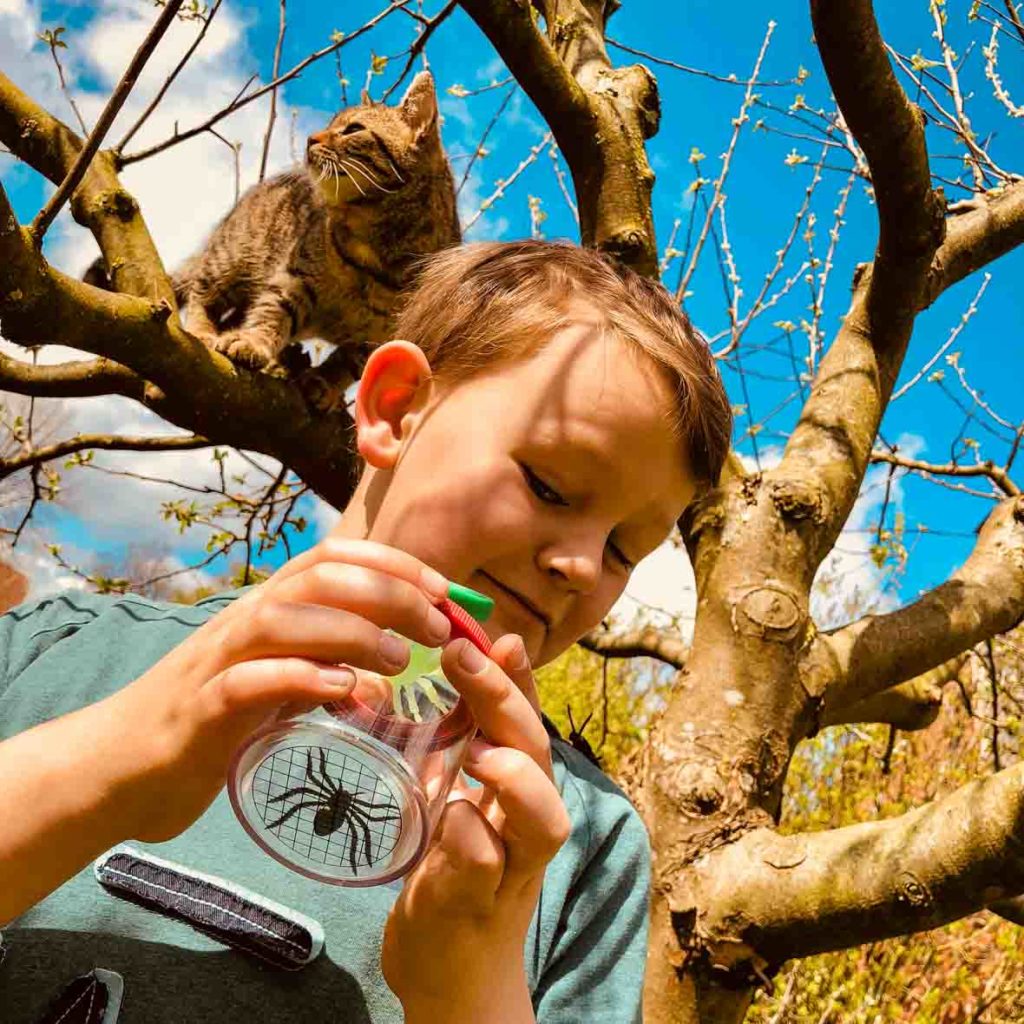 Bild Kind mit Becherlupe und Katze im Baum