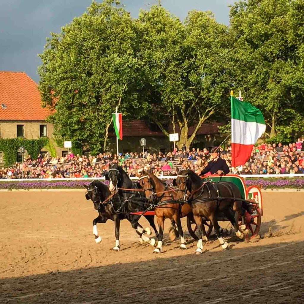 Quadriga bei der Hengstparade in Warendorf