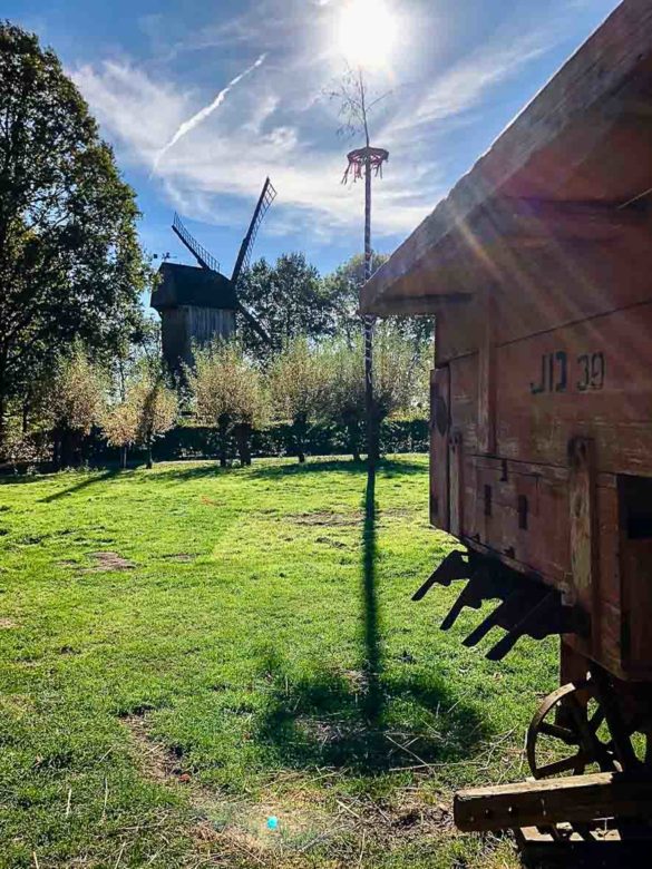 Maibaum und Mühle im Mühlenhof in Münster