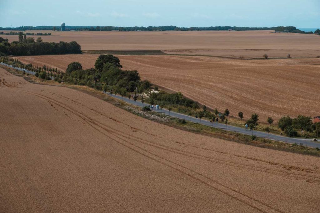 Aussicht auf die riesigen Weizenfelder vom Peilturm am Kap Arkona